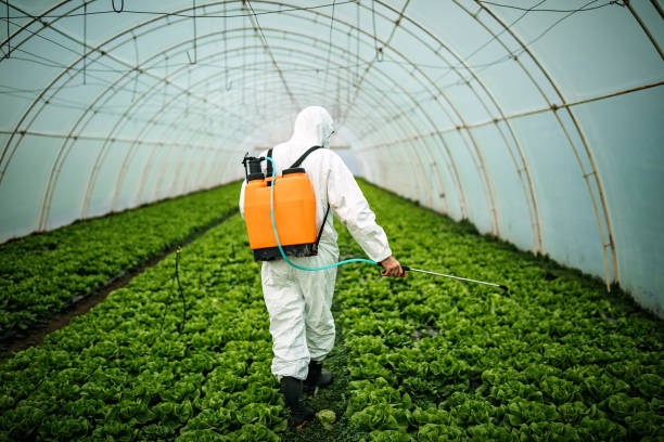 Best Commercial Pest Control Services  in Laguna Hills, CA
