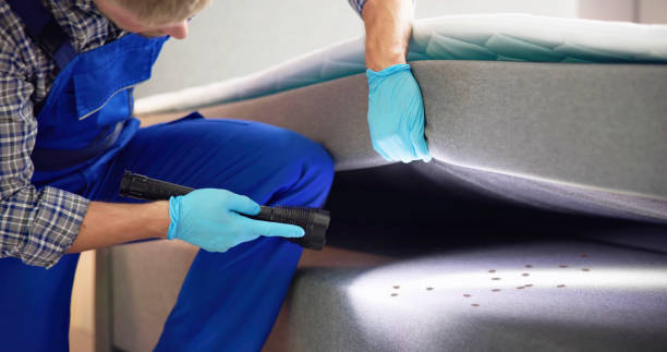 Best Commercial Pest Control Services  in Laguna Hills, CA