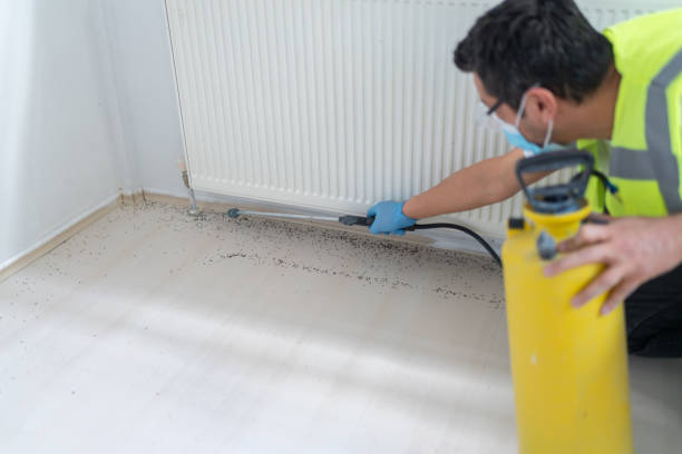 Best Emergency Pest Control  in Laguna Hills, CA